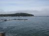 Bar_Harbor_13.JPG