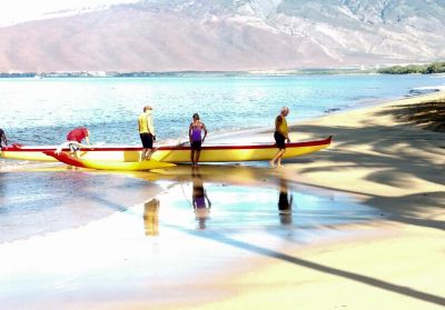 Click to view full size image